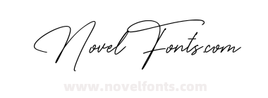 The Wedding Signature Regular