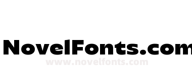 Transforma Sans Black