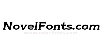 NewtextEF-DemiItalic