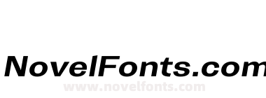 Trivia Gothic E2 Semi exp Bold Italic