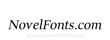 Wittgenstein Italic