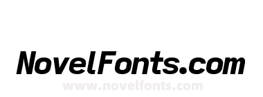 Zapus Sans Black Italic