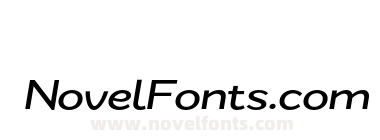 Zt Nezto Medium Italic