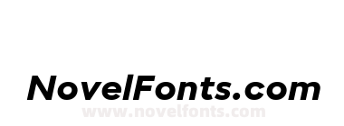 neue Radial B Extra Bold Italic