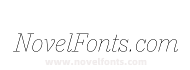 A2 Record Gothic Slab Thin Italic