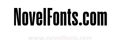 Action NBA Web Bold