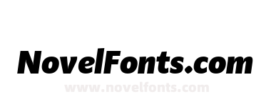 Adagio Sans Heavy italic
