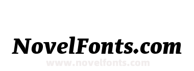 Adagio Serif Black italic