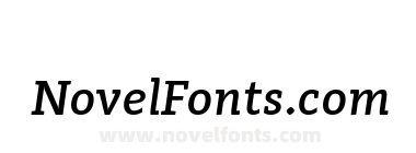 Adagio Slab Medium italic