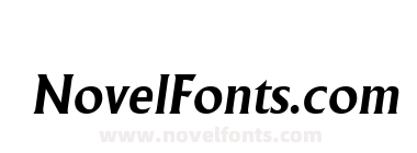 Adelon Serial Bold Italic