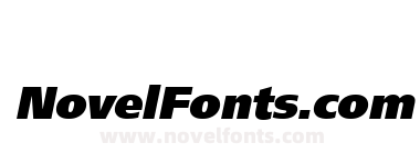 PT FreeSet Black Oblique Cyrillic