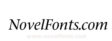 StoneSerifMediumItalic