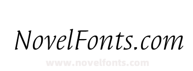 SyndorEF Book Italic