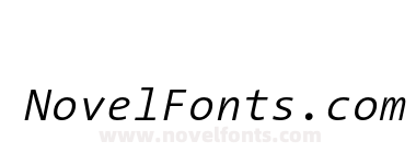 The Sans Mono Semi Light Italic