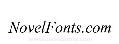 Times New Roman Mon Italic