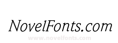 WeidemannEF Book Italic