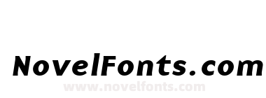 BaseNine Bold Italic