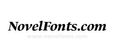 Bennet Display Black Italic