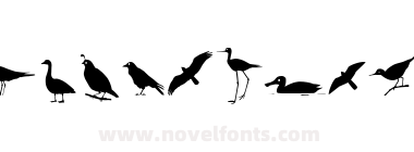 Bird Silhouettes
