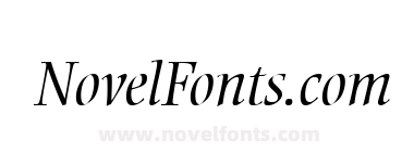 EllingtonMT Light Italic