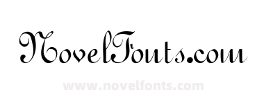 FZ SCRIPT 11