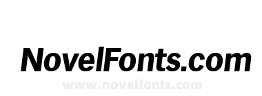 Hamburg Serial Extra Bold Regular Italic