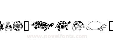 Keyas Turtles