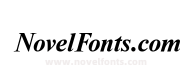 NewtonC Bold Italic