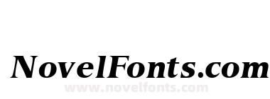 Nuance BlackS Si Italic