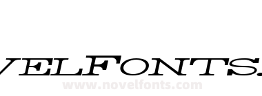 Rider Widest Ultra expanded Light Italic