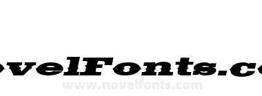Saddlebag Extended Italic