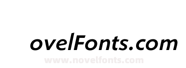 ShinnMediumItalic