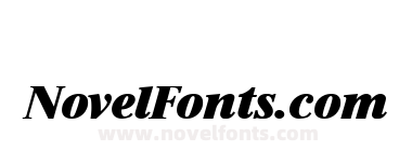 Simon Becker Heavy Italic