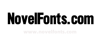Slim Sans Serif Bold