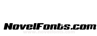 Sneakers Script Medium