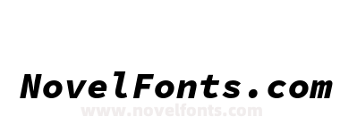 Source Code Pro Black Italic