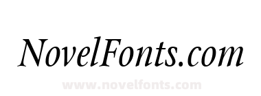 Stone Print Italic