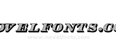 Type No13