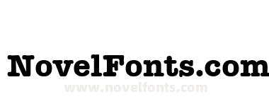 Typewriter Bold