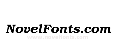 VNI Book Bold Italic