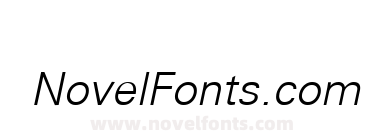 VNI US Italic