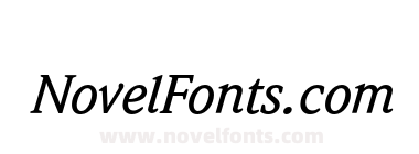 WeidemannEF-MediumItalic