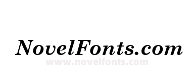 .VnCentury Schoolbook Bold Italic