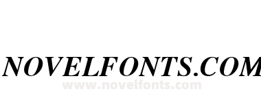 .VnTimeH   Bold Italic