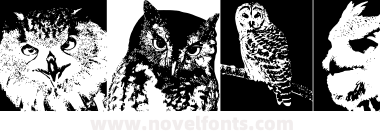 AParliamentofOwls3