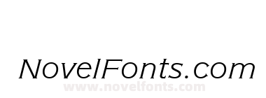 AmericanGotURWTLig Italic