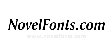 Amerigo Bold Italic BT