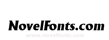 Ankura SSi Italic