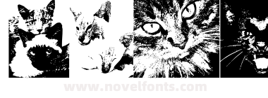 CatBats