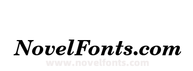 Century Schoolbook Bold Italic BT